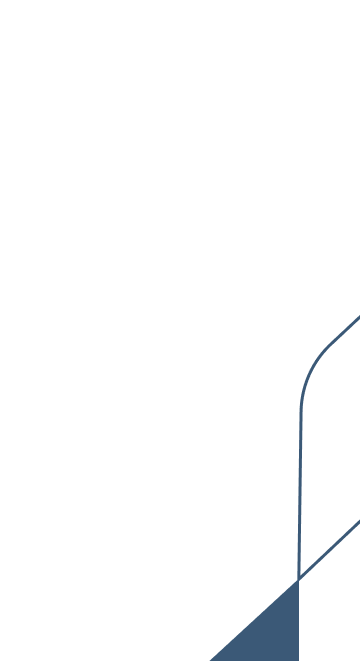 logo bnsp